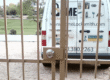acme locksmith