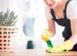 TT Cleaning franchise