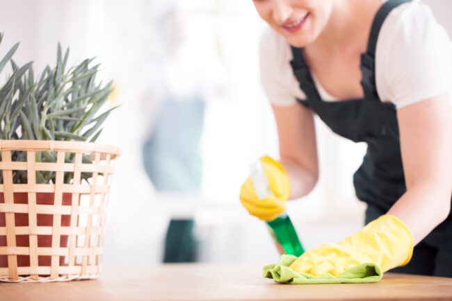 TT Cleaning franchise