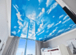 Velum design franchise