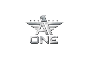 Ace Force One – Value and Quality of Service