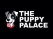 A Happy Puppy Palace Customer Review