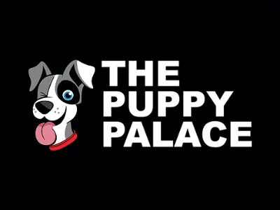 A Happy Puppy Palace Customer Review