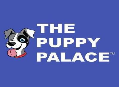The Puppy Palace Thrilled Customer Review