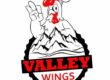 Valley Wings Customer Reviews